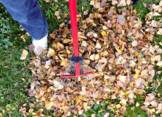 Gartenabfälle abgeben Kiel