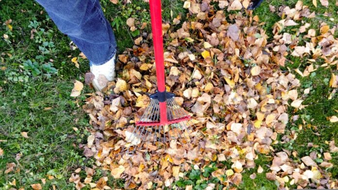 Gartenabfälle abgeben Kiel