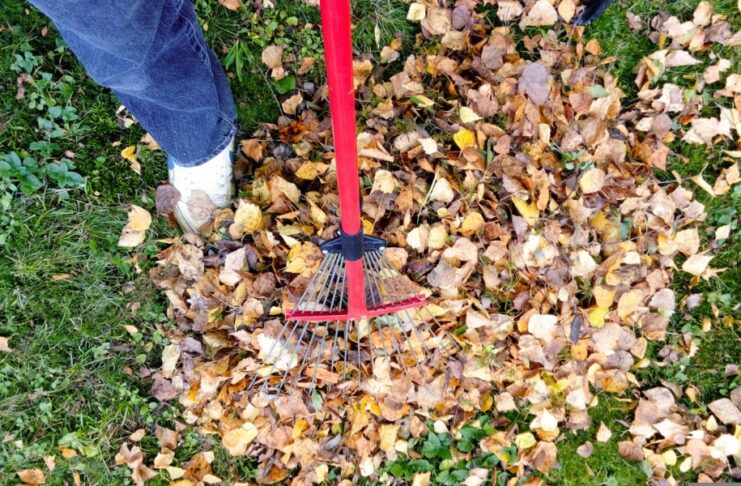 Gartenabfälle abgeben Kiel